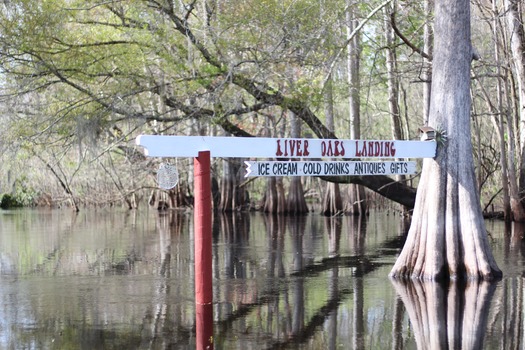 Nobleton/ River Oaks Landing