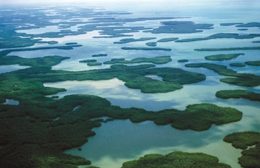 Ten Thousand Islands Eco Aerial