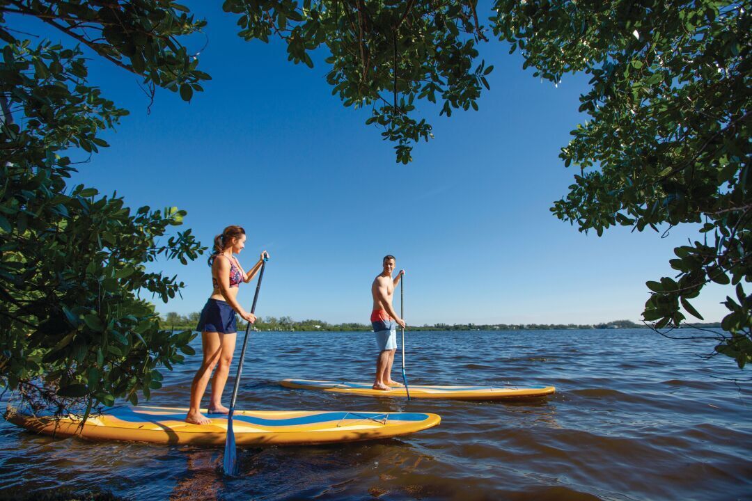 Stand Up Paddleboarding