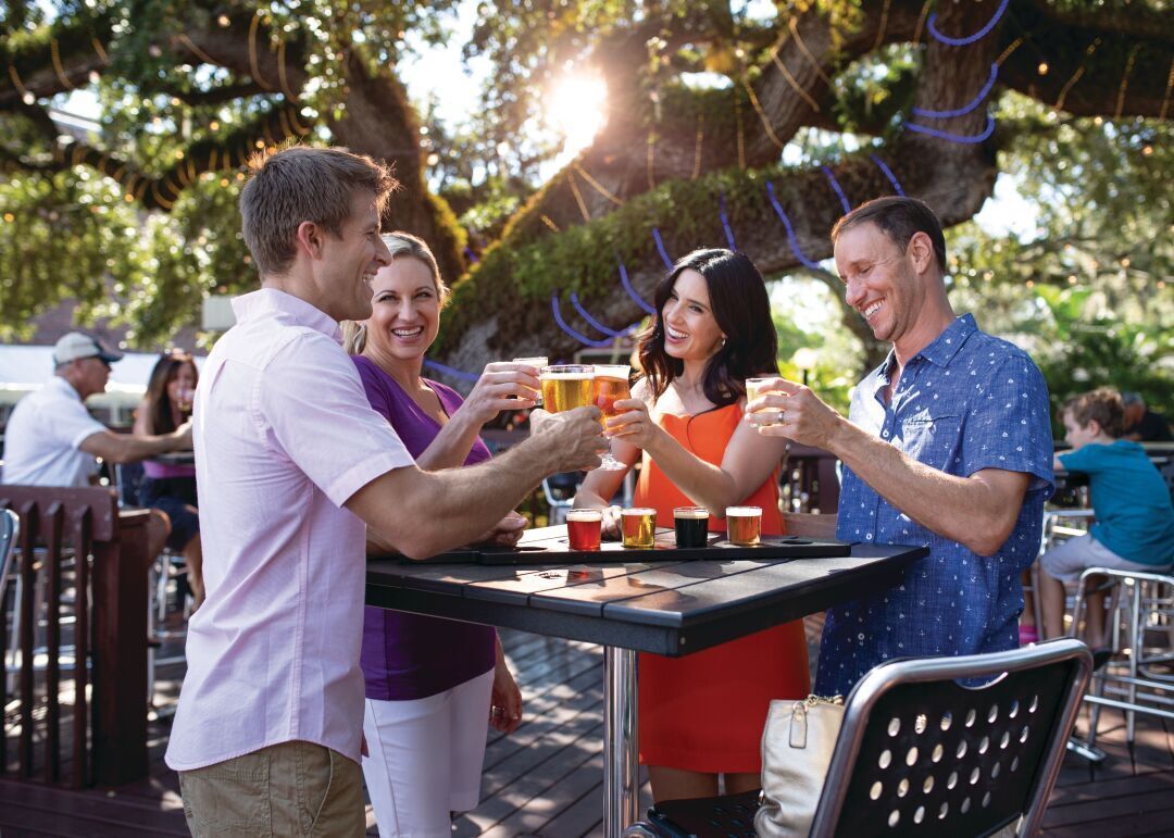 Craft Brewery - Cheers