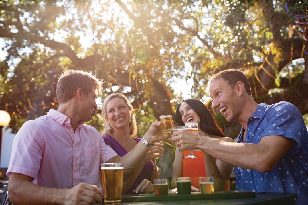 Craft Brewery - Moment
