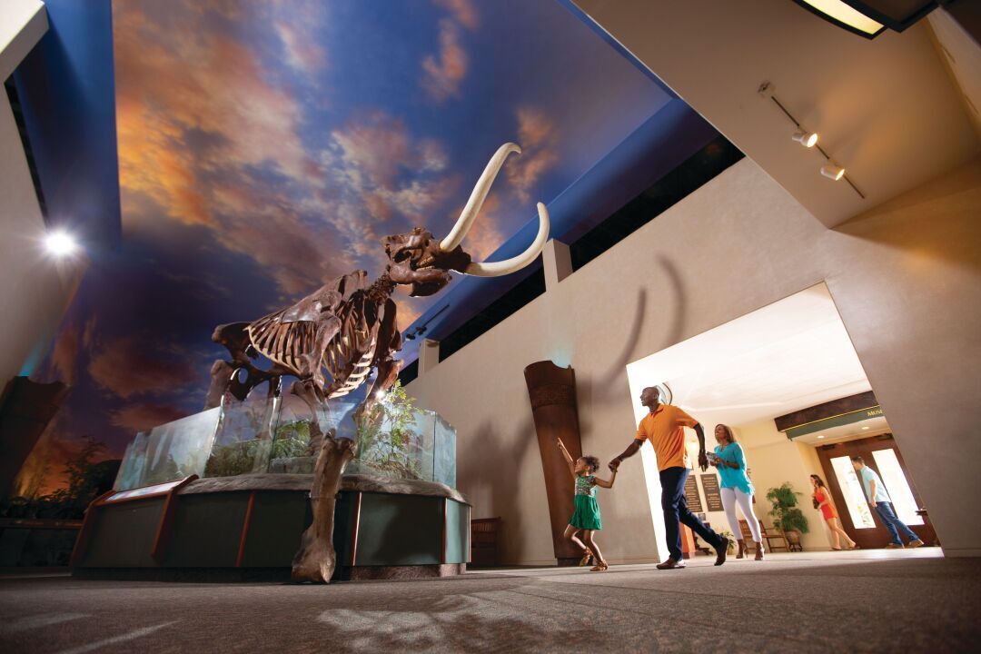 SFM Inside - Entrance