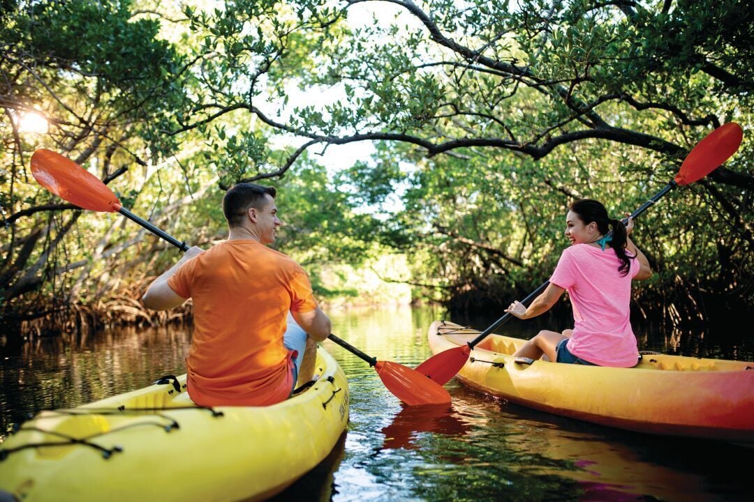 Kayak Couple Paddles