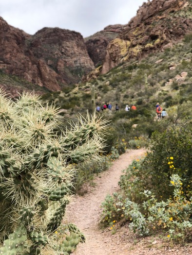 Organ Pipe Cactus National Monument