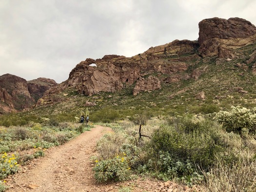 Organ Pipe Cactus National Monument