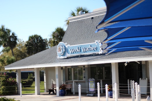 Weeki Wachee Springs State Park