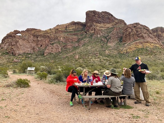 Organ Pipe Cactus National Monument