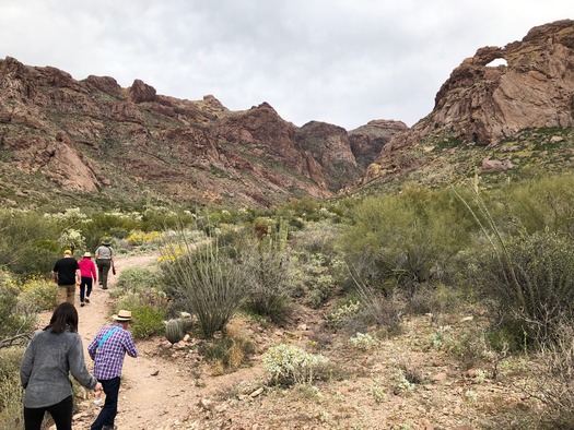 Organ Pipe Cactus National Monument