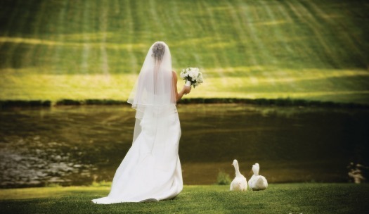 Graylyn Estate Wedding Photo