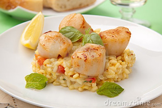 scallops on plate