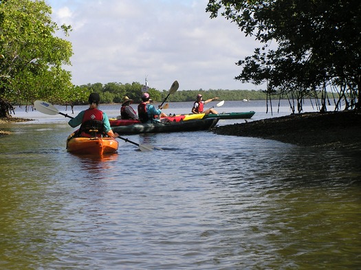 Rookery Bay Kayak Tour