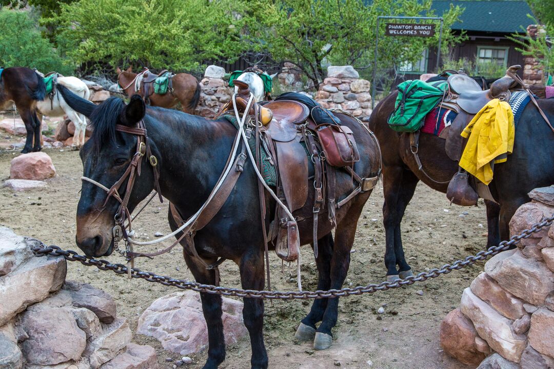 Grand Canyon National Park