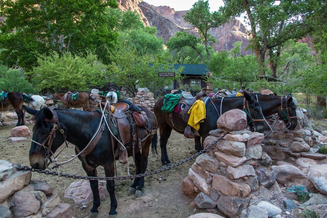 Grand Canyon National Park