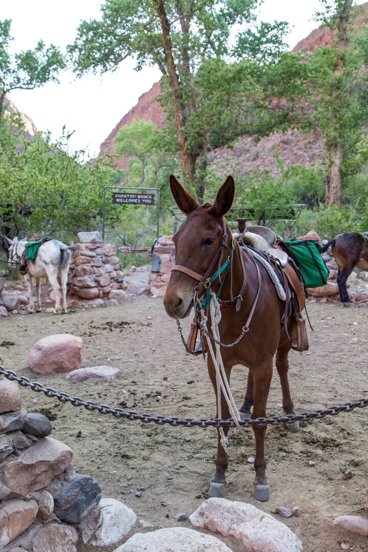 Grand Canyon National Park