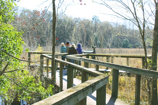 Boardwalk at Chinsegut Conservation Center
