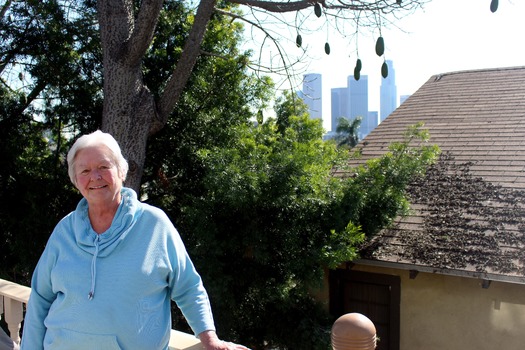 RNS-Heretic-House2 040519