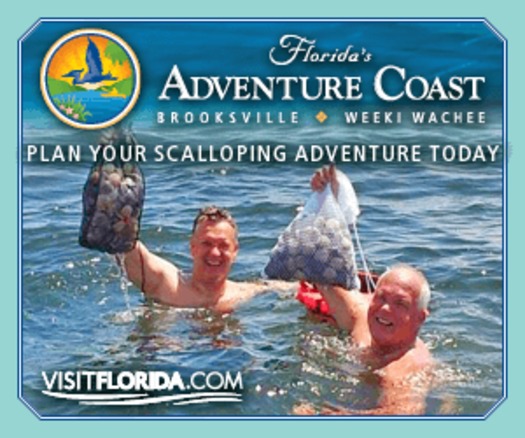 300x250_SCALLOPING_Visit_FL_Digital_Banner_Ad