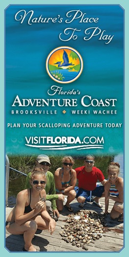 300x600_SCALLOPING_Visit_FL_Digital_Banner_Ad