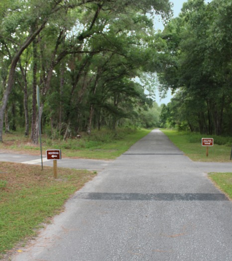 Withlacoochee Trail thru Lake Townsen Preserve