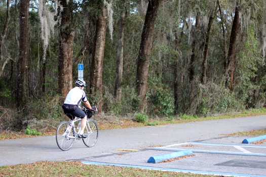 Withlacoochee State Forest/Trail