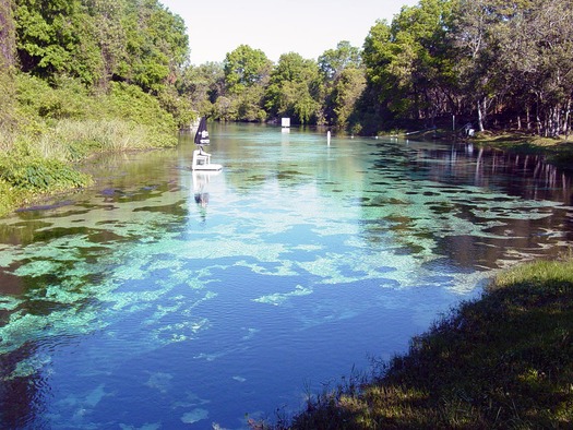 Weeki Wachee Springs State Park