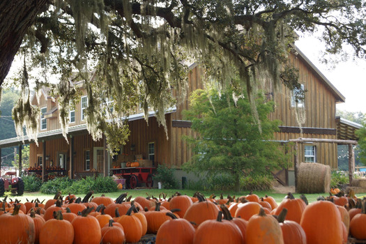 Sweetfield's Farm, Brooksville