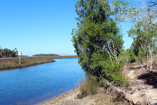 Coastal Paddling Trail, Jenkins Creek, Weeki Wachee