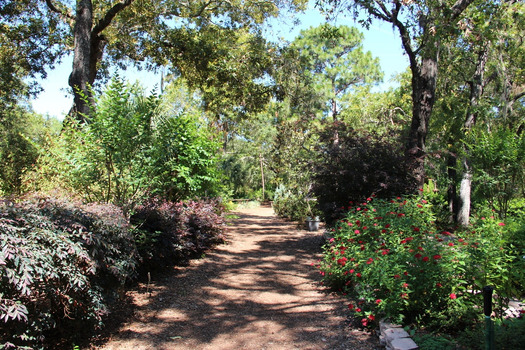 Nature Coast Botanical Gardens, Spring Hill