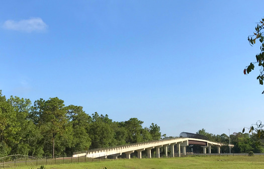 Suncoast Bike Trail Overpass, Brooksville