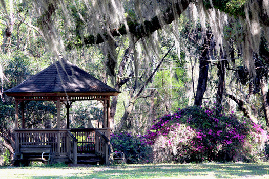 Gazebo, Chinsegut Hill Retreat
