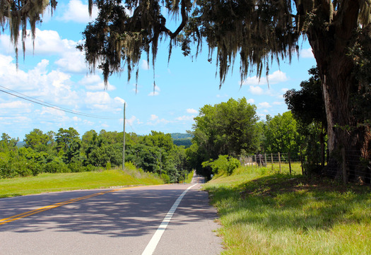 Road to Boyett's Grove Citrus Attraction, Brooksville