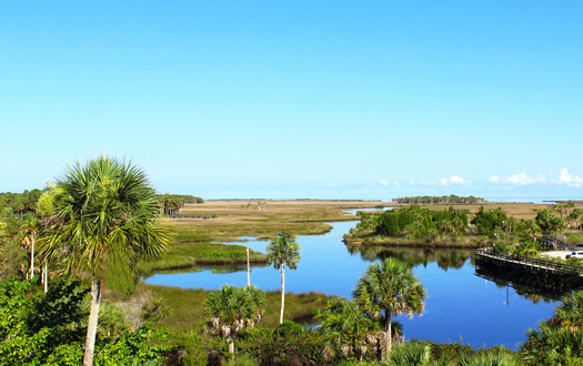 View from Linda Pedersen Tower, Weeki Wachee