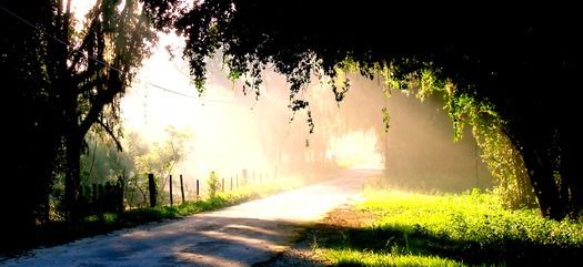 Country Road, Brooksville
