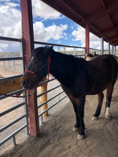 Hualapai Ranch