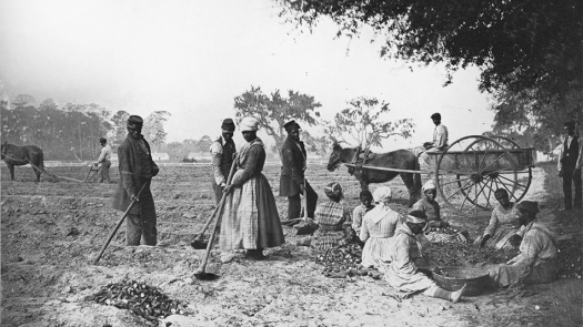 webRNS-Slave-Planting 1862