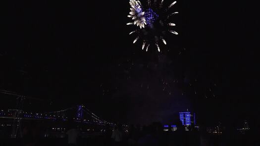 Wawa Welcome America Fireworks