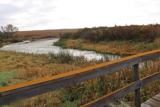 Spring Creek Audubon