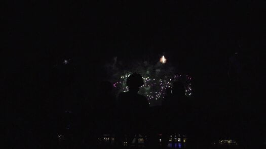 Wawa Welcome America Fireworks
