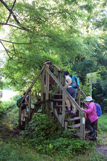 RNS-Appalachian-Camino02 062819