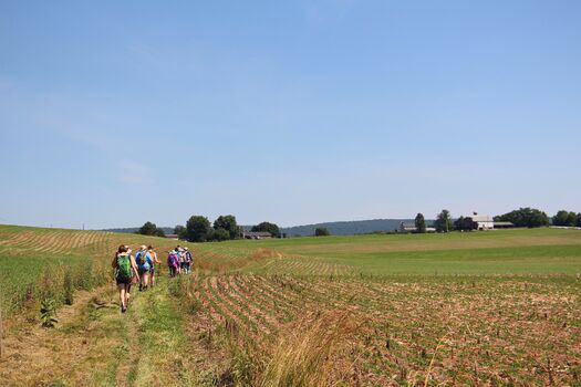 RNS-Appalachian-Camino05 062819