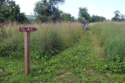 RNS-Appalachian-Camino11 062819