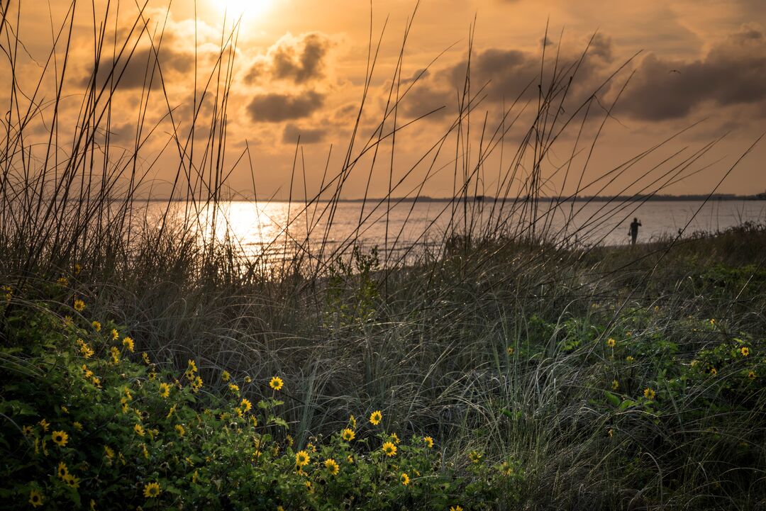 Sunrise Over The Dunes