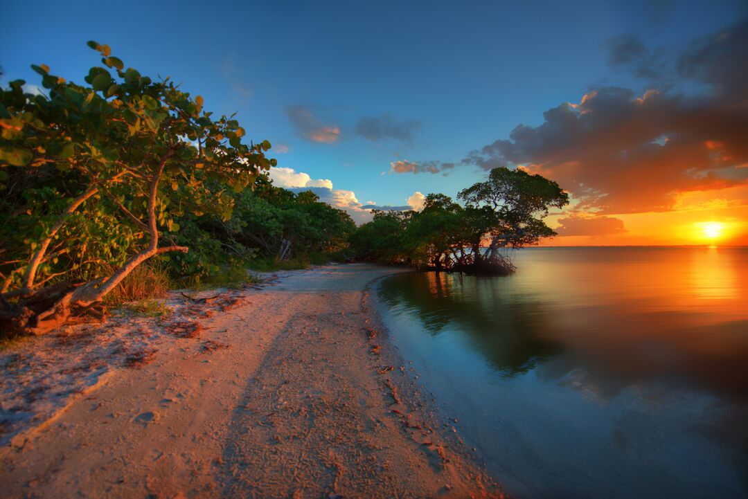 Emerson Point Preserve