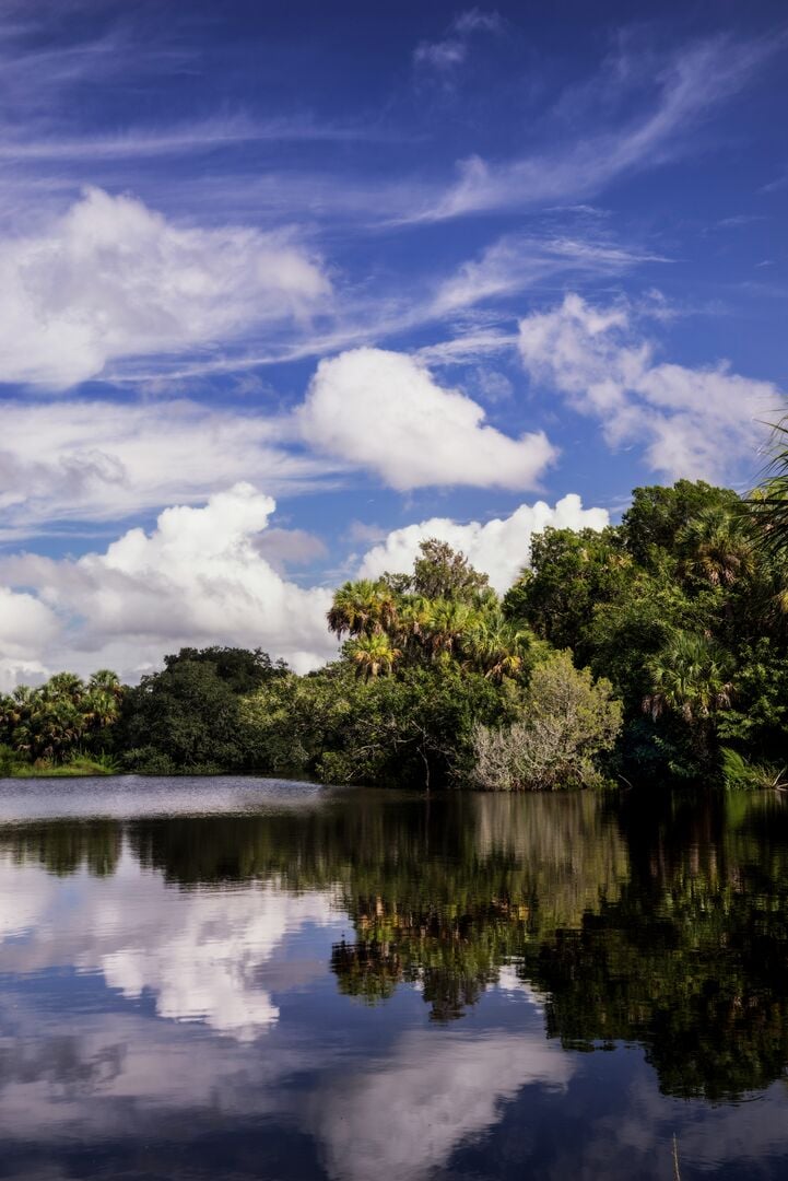 Manatee River