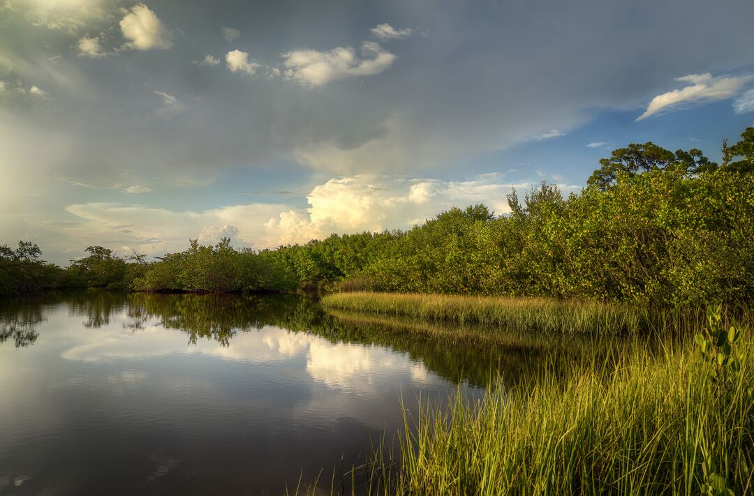 Robinson Preserve