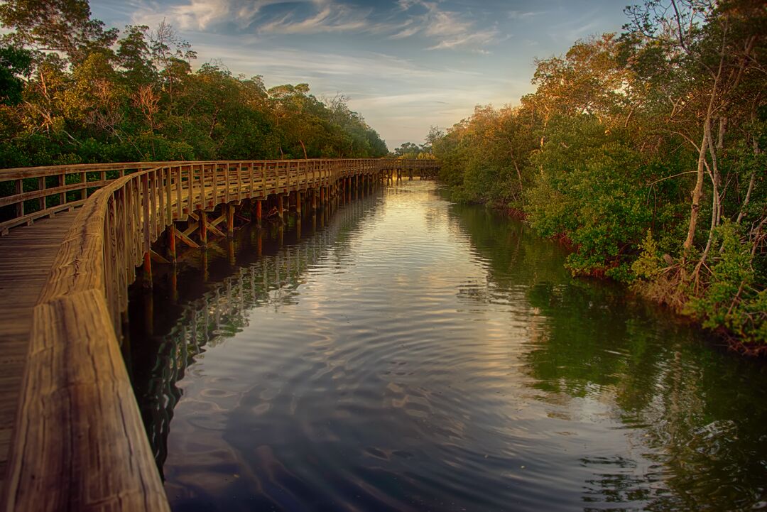 Robinson Preserve