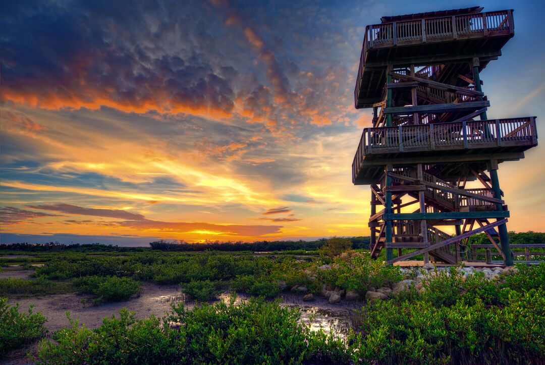 Robinson Preserve Tower