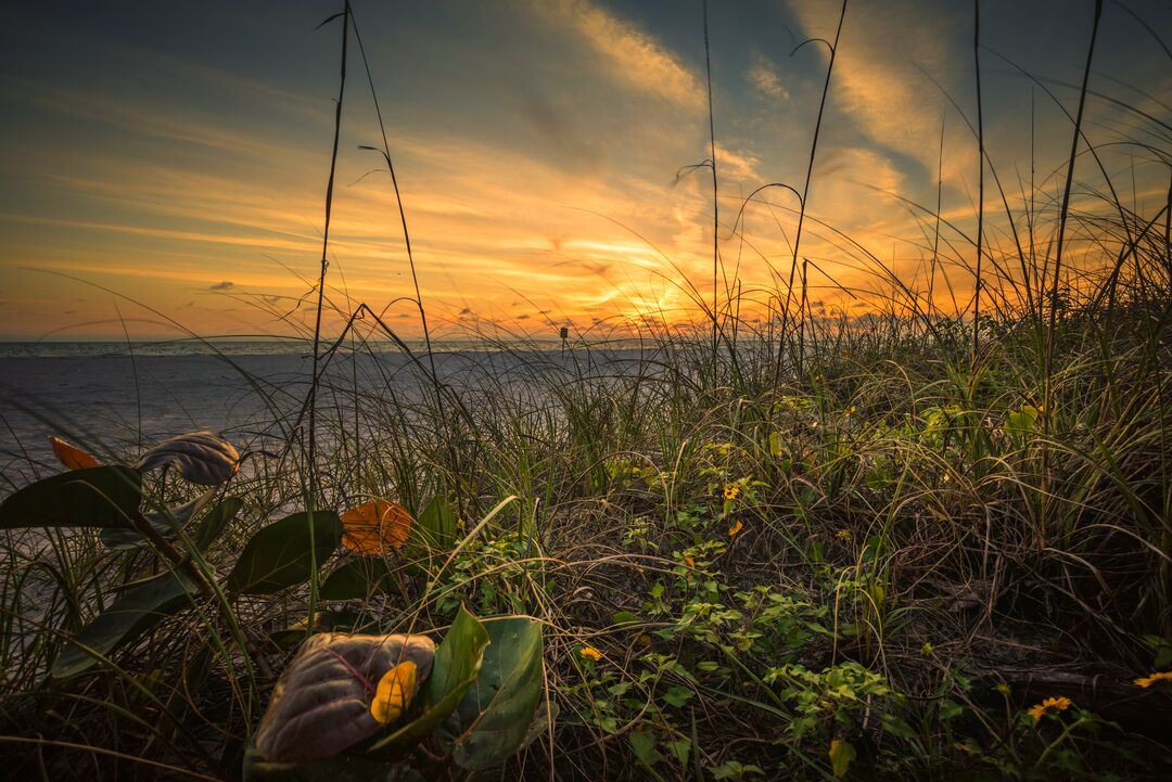 Sunset from Coquina Beach Dunes