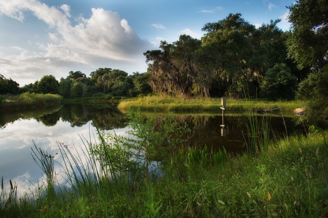 Emerson Point Preserve