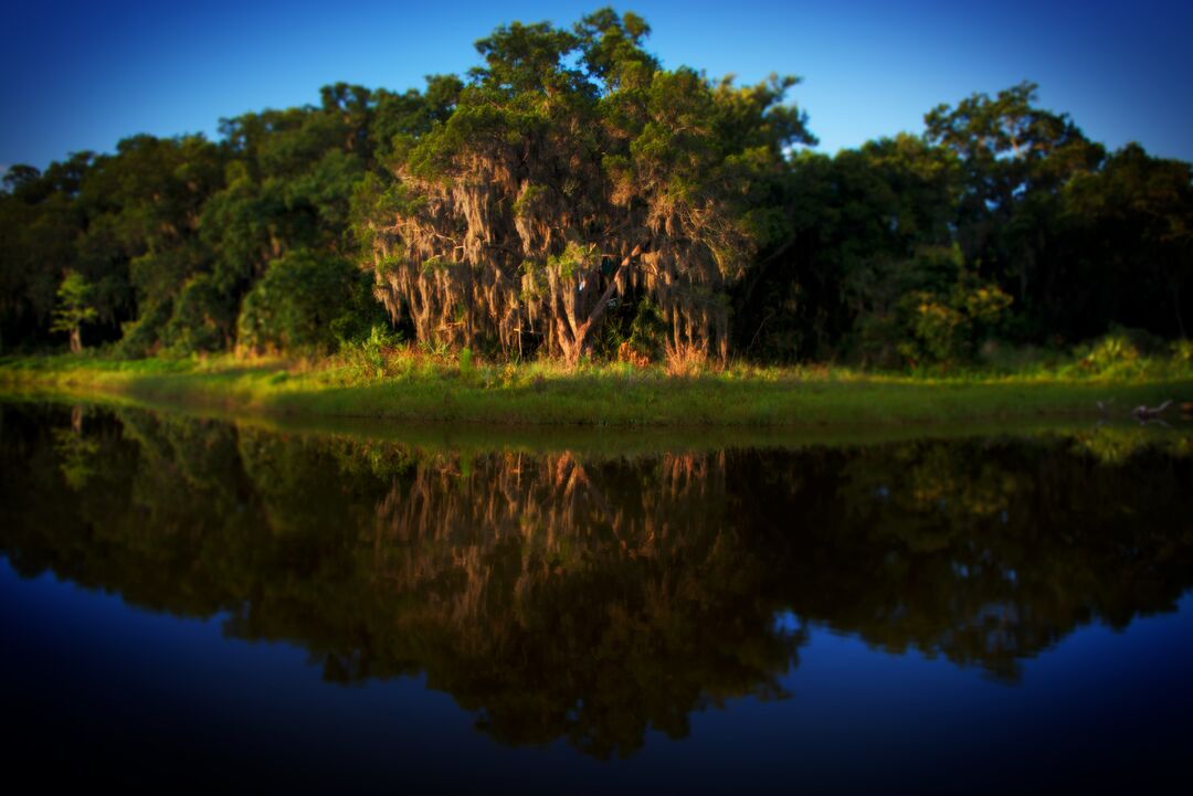 Emerson Point Preserve